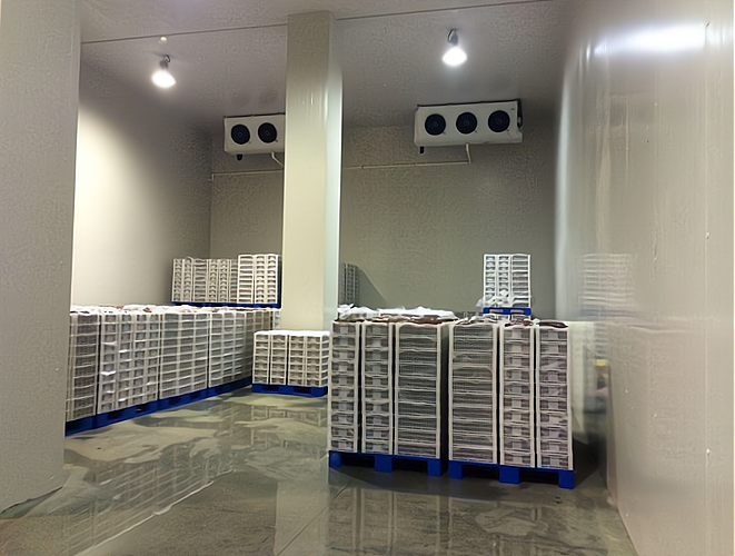 開一個雪糕批發冷庫 專業指導，創業無憂！預包裝食品批發策略